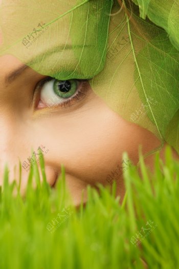 绿叶中的美女眼睛图片