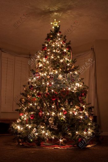 精美的圣诞树