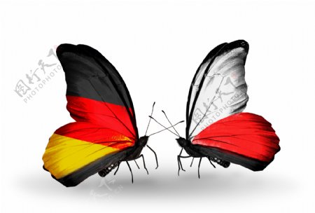 德国波兰国旗蝴蝶