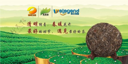 清明节淘宝古树茶促销海报图