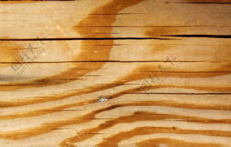木材表面纹理6