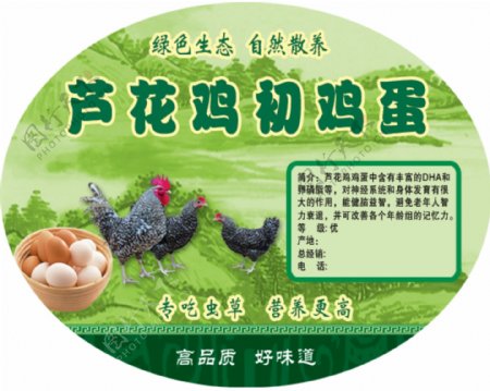 芦花鸡鸡蛋标签