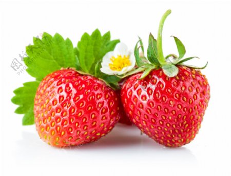 新鲜红色的草莓图片