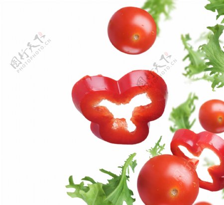 西红柿与辣椒图片