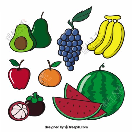 几个美味的水果插图