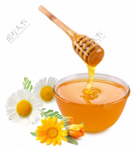 蜂蜜与鲜花