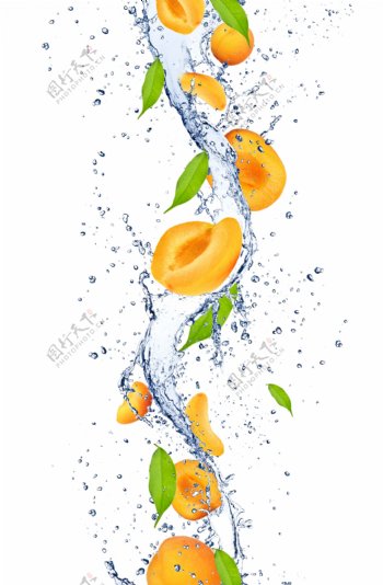 新鲜杏子与动感水花