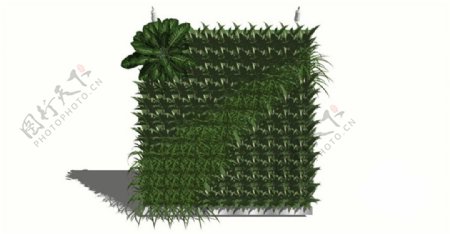创意绿化植物墙景观墙skp模型