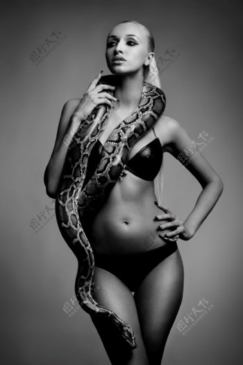 玩蛇的性感女人图片