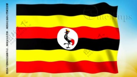 动态前景旗帜飘扬197乌干达国旗