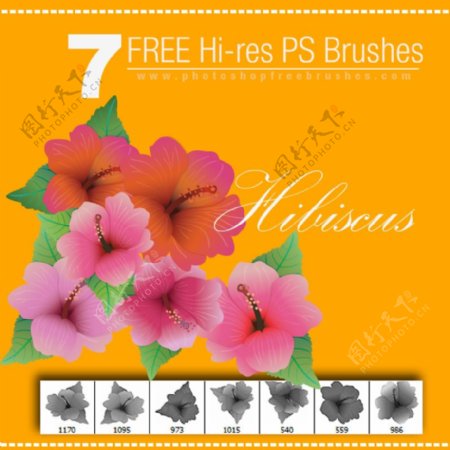 7种鲜艳漂亮的花朵Photoshop笔刷