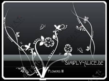 漂亮的植物花纹照片美图背景边框饰品PS笔刷.11