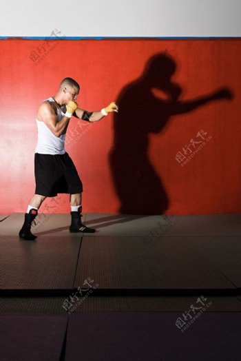 训练中的拳击手影子特写图片图片