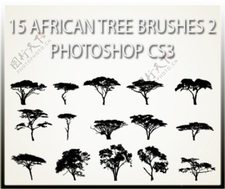 15种非洲草原树木剪影图形PS笔刷素材