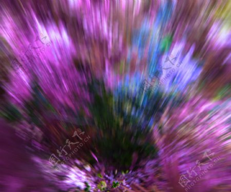 紫罗兰花园背景