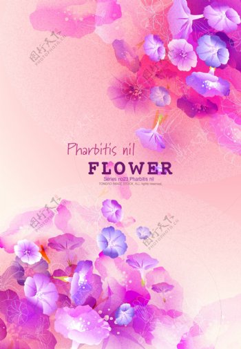 矢量粉色花卉装饰背景