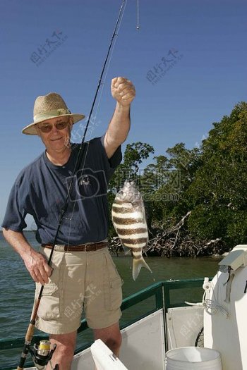 一位老人调到鱼