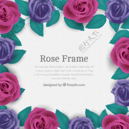 写实紫玫瑰框架花边背景