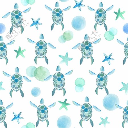 水彩乌龟海星图片