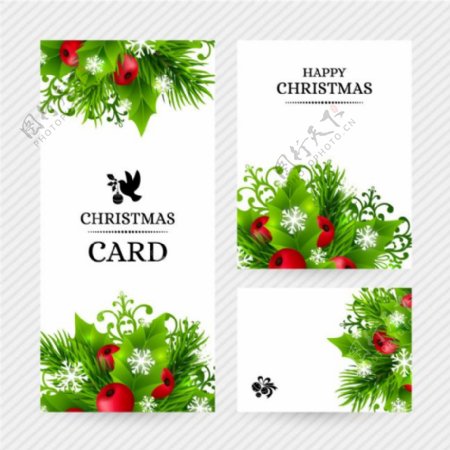 圣诞冬青卡片设计矢量图素材