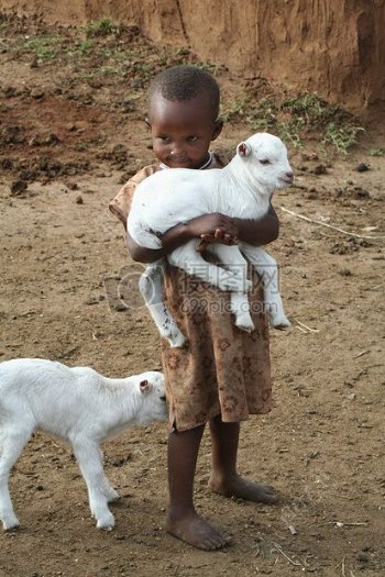 抱着小羊羔的黑人儿童