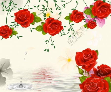 3d玫瑰花背景墙图片
