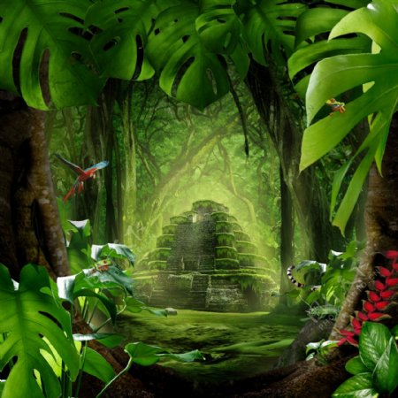绿色神秘梦幻森林