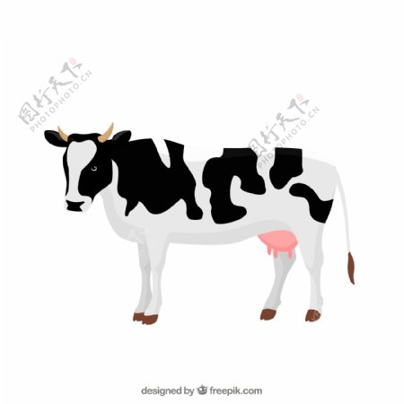 黑白花纹奶牛设计矢量素材图片