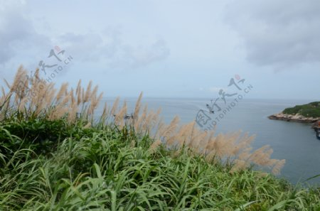 海岛图片