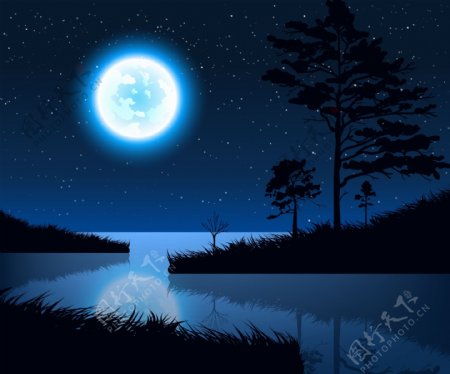 月光下的湖面和草木矢量