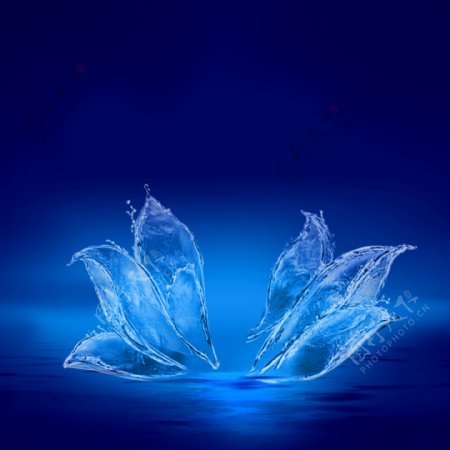 蓝色水晶花瓣背景