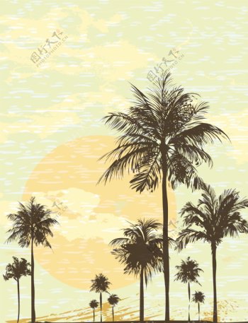 夏日椰树插画