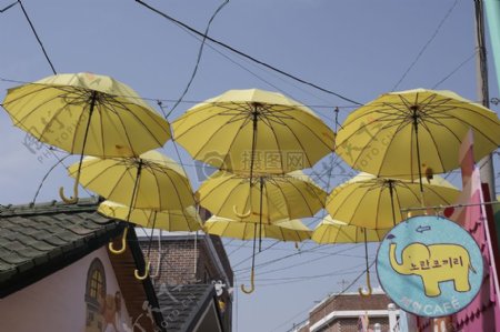 在街道上悬挂的伞