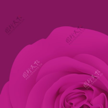 紫色浪漫情人节玫瑰花底纹直通车钻展背景