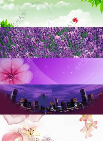 紫色花海背景