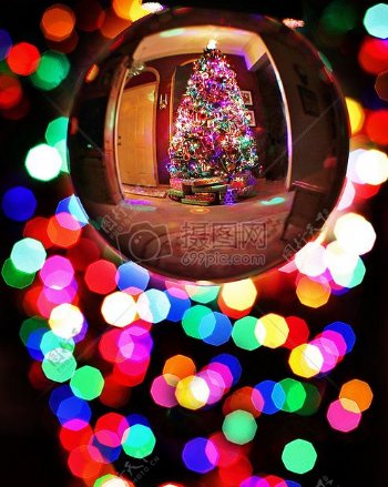 水晶球下的圣诞树