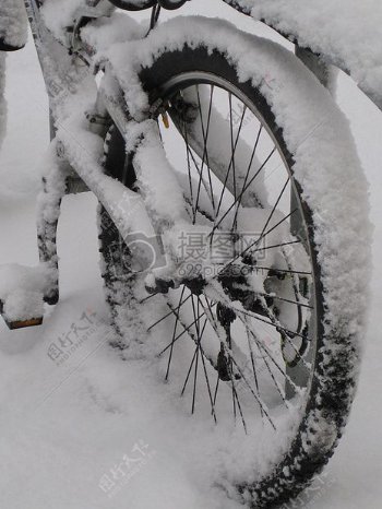 雪下覆盖的自行车