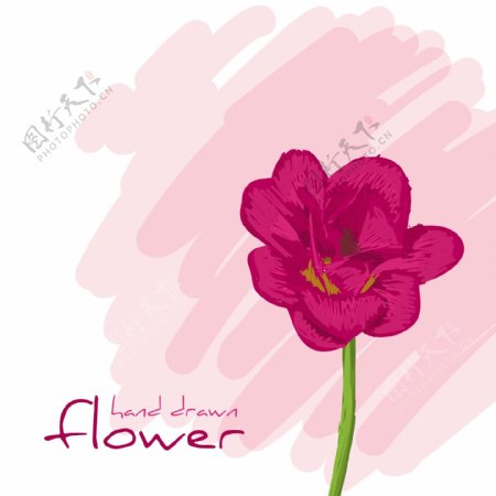 花卉背景图片