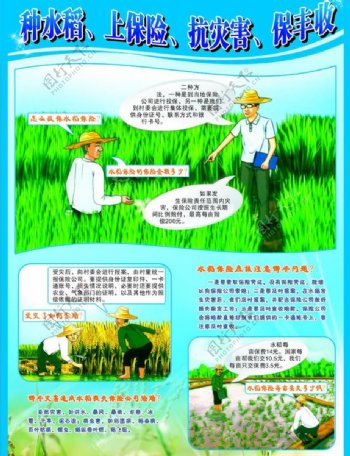 农业保险海报图片