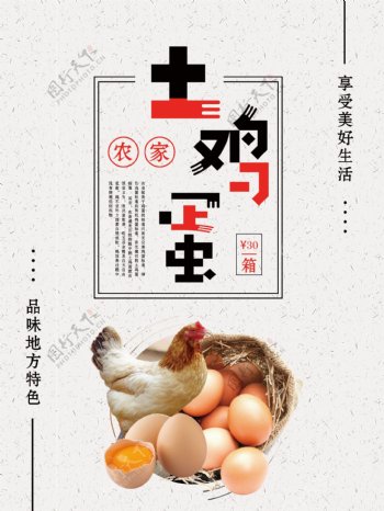 浅色简约农家土鸡蛋宣传海报