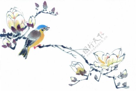 鸟水墨画一只小鸟在树上