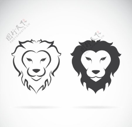 两款黑白线条狮子头像矢量素材