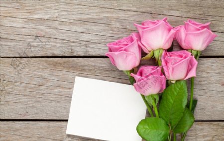 粉色玫瑰花束空白祝福卡