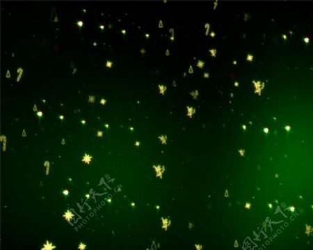 清新绿色粒子圣诞装饰视频素材