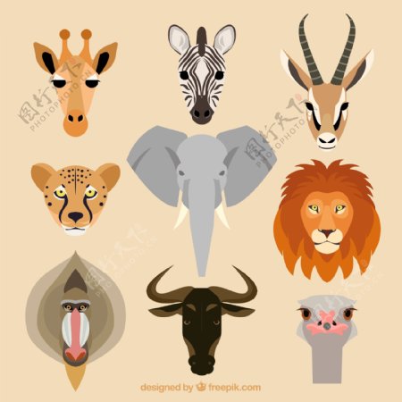 野生动物头像设计矢量素材