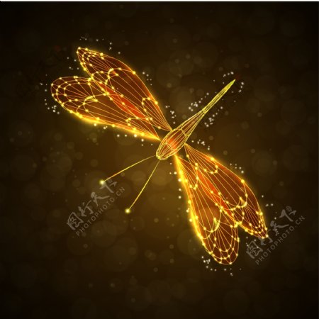 矢量炫酷炫光昆虫蜻蜓插画设计