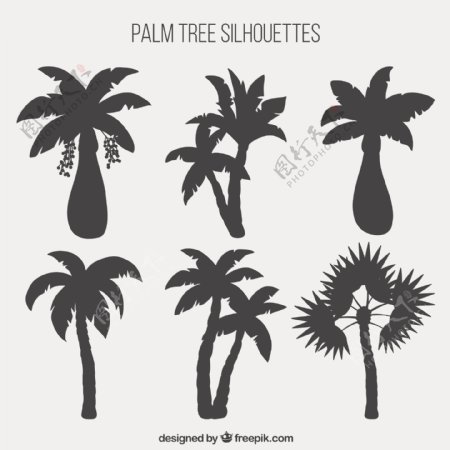 棕榈树剪影收集