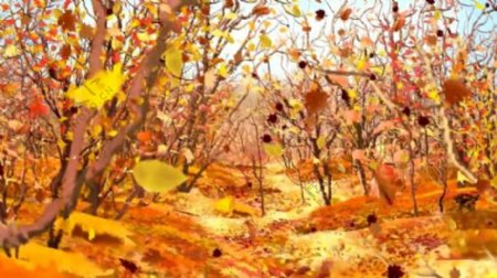 秋天树林枫叶飘落视频素材
