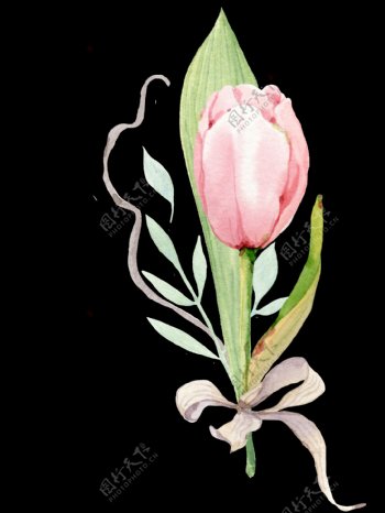 可爱花卉透明装饰图案
