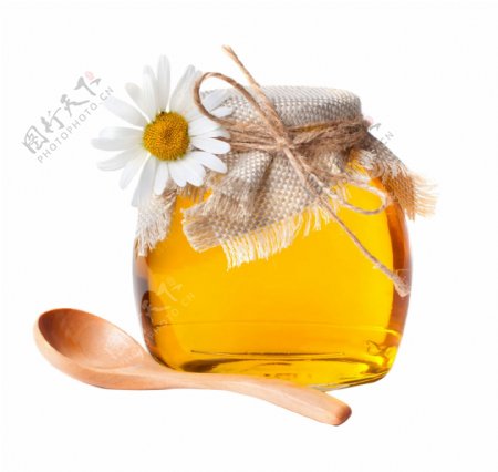 蜂蜜蜂胶营养药用花朵
